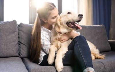 10 Secrets to Finding the Best Overnight Pet Sitter in Dallas
