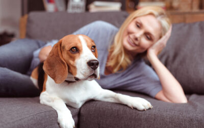 7 Benefits of Dallas Pet Sitting Services You’re Probably Missing Out