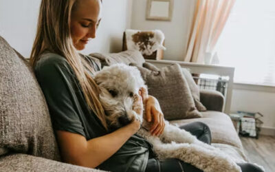 Why In-Home Pet Sitting in Dallas Is the Best Option for Your Pet?