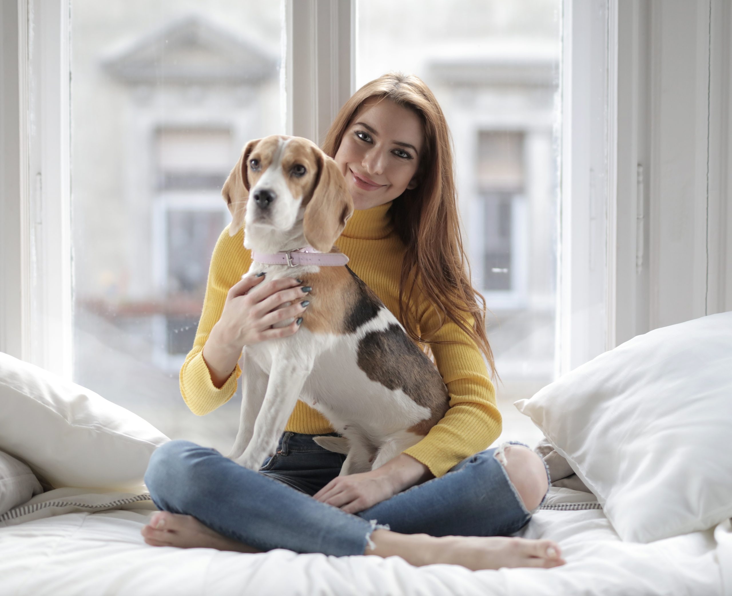 8 Traits that Make Overnight Pet Sitters in Dallas Great | DTX Pets