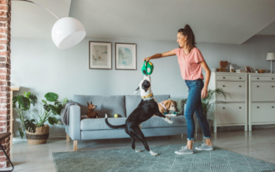 How to Prepare for an Overnight Pet Sitter in Dallas