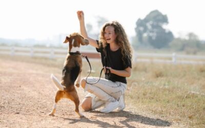 The Future of Dog Sitting in Dallas: Trends and Innovations to Watch Out For