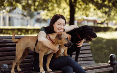 A Guide for Dog Sitters in Dallas: Breeds That Require More Supervision