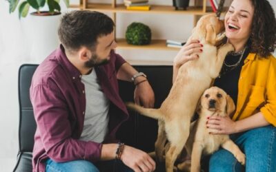 The Importance of Background Checks for Dallas Pet Sitters