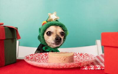 Holiday Foods to Avoid for Pets