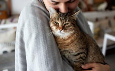 Why Familiar Caregivers Help Reduce Pet Anxiety