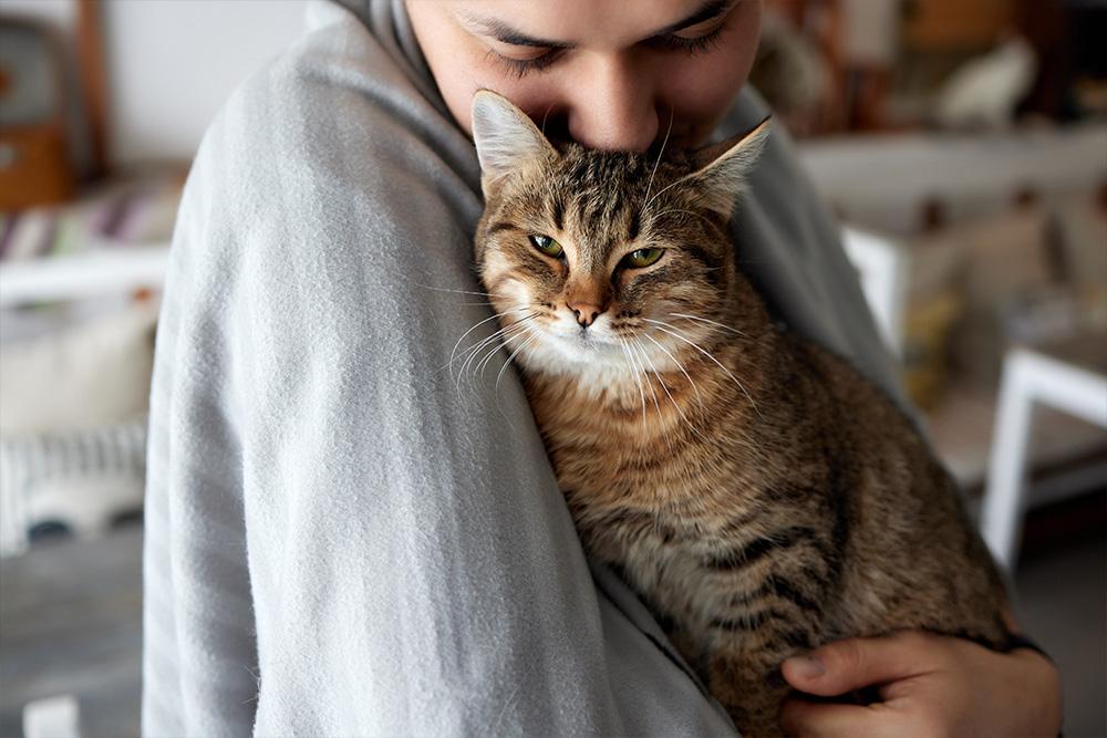 Why Familiar Caregivers Help Reduce Pet Anxiety
