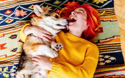 Reset and Recharge: Helping Your Pet Get Back on Schedule After the Holiday Rush