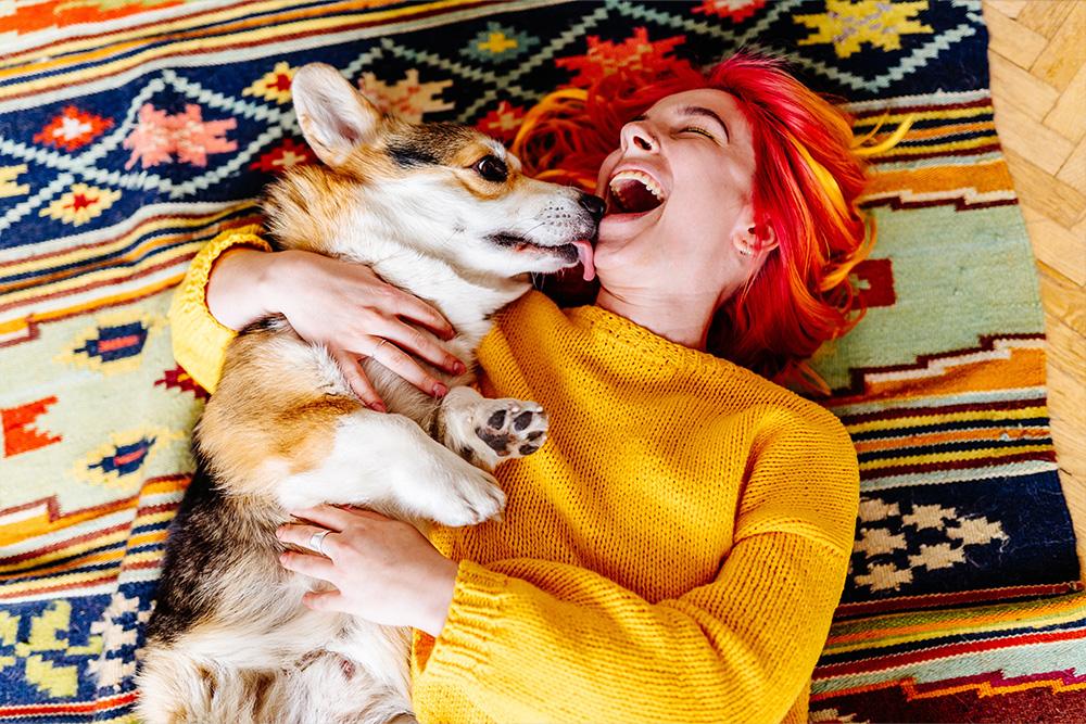 Reset and Recharge: Helping Your Pet Get Back on Schedule After the Holiday Rush