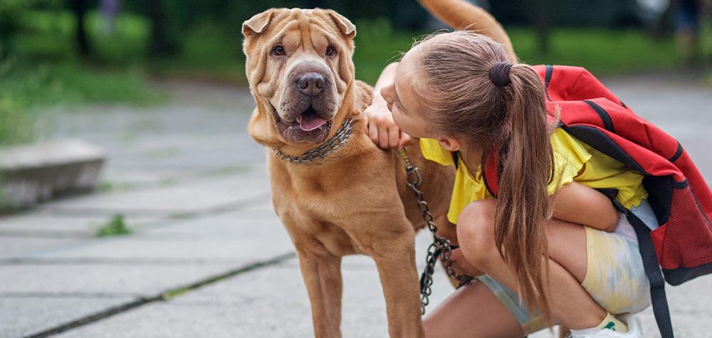 Navigating Back-to-School Routine Changes: Easing Separation Anxiety for Your Pets